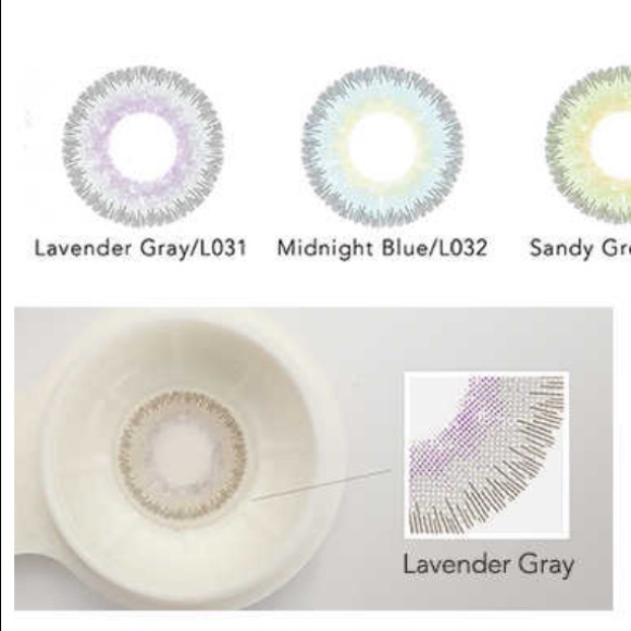 Lavander Gray - Picture 10 of 11